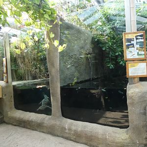 Philippine crocodile enclosure