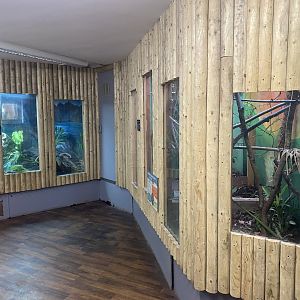 Exhibits for Argentine black and white tegu and Panther chameleon 280425