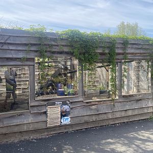 Tayra enclosure (1 of 2) 280425