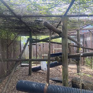 Tayra enclosure (2 of 2) 280425