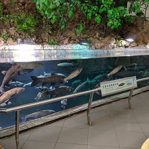 Restaurant tank