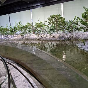 Estuary tank
