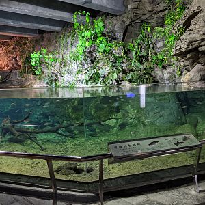 Freshwater stream tank