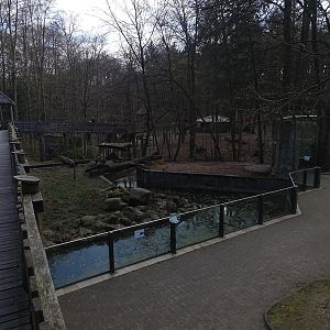 Wolf enclosure
