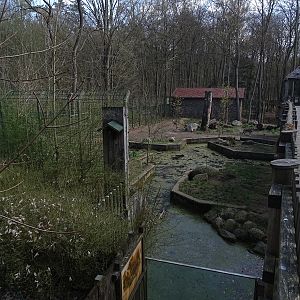 Wolf enclosure