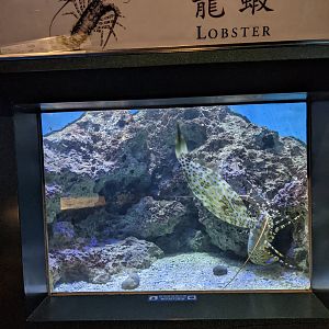 Examples of bad signage