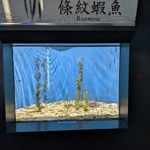 Examples of bad signage