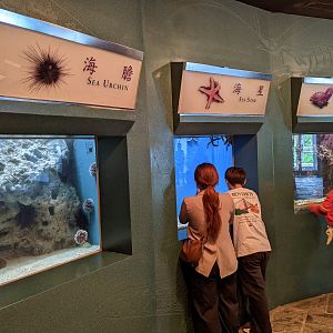 Examples of bad signage