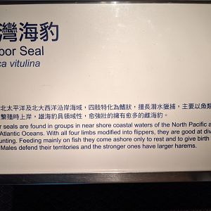 Harbour Seal signage