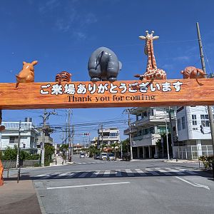 Okinawa Zoo entry arch (leaving)