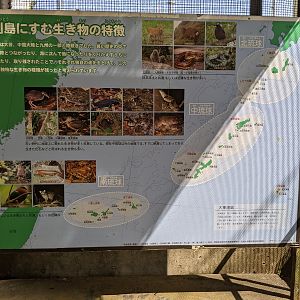 Okinawa Zoo signboard