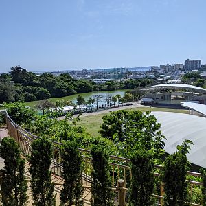 Okinawa Zoo, view of lake from entrance