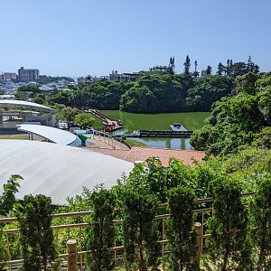 Okinawa Zoo, view of lake from entrance