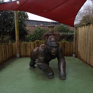 Guy the gorilla statue 11.2.25