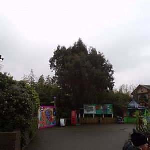 General view upon entering the zoo 11.2.25