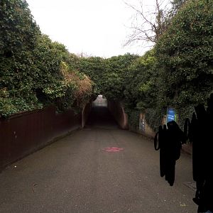 Tunnel towards other section of zoo 11.2.25