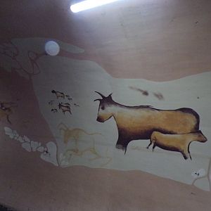 Paintings in the tunnel 11.2.25