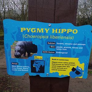 Signage example 11.2.25