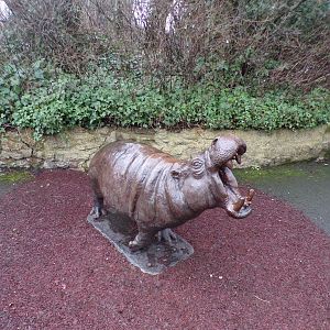 Pygmy hippo statue 11.2.25