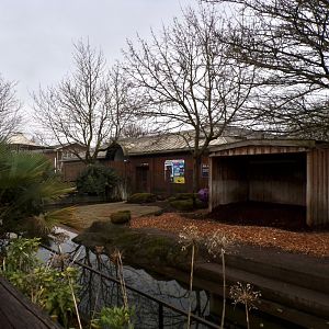 Pygmy hippo enclosure 11.2.25