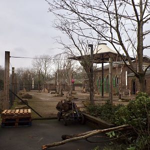 View of Giraffe, Ostrich and zebra enclosure 11.2.25
