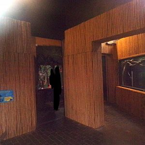 View in pygmy hippo house Giraffe, Ostrich and zebra enclosure 11.2.25