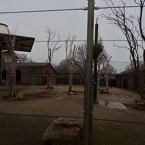 Giraffe, Ostrich and zebra enclosure 11.2.25