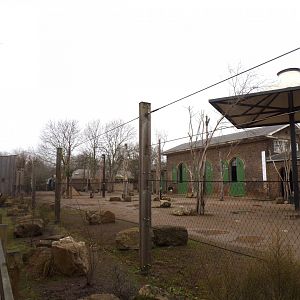 Giraffe, Ostrich and zebra enclosure 11.2.25