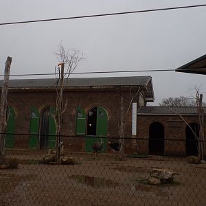 Giraffe, Ostrich and zebra enclosure 11.2.25