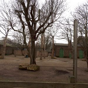 Giraffe, Ostrich and zebra enclosure 11.2.25