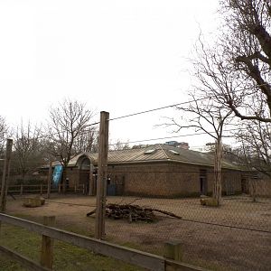 Giraffe, Ostrich and zebra enclosure 11.2.25