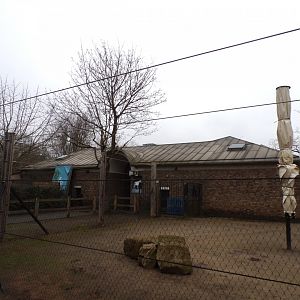 Okapi and zebra housing 11.2.25