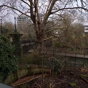 View of canal from warthog enclosure 11.2.25