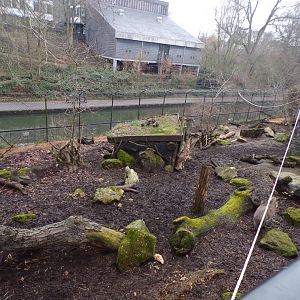 Warthog enclosure 11.2.25