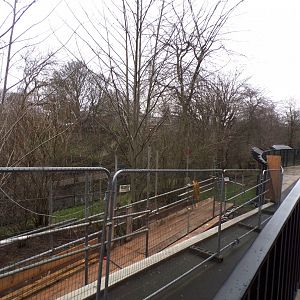 Work on former African wild dog enclosure 11.2.25