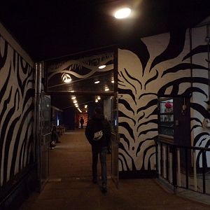 View coming into giraffe house 11.2.25