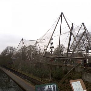 Monkey valley 11.2.25