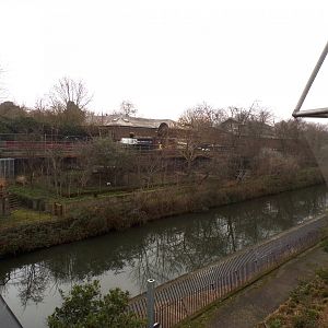 View of former African wild dog enclosure from across the bridge 11.2.25