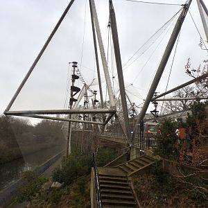 Monkey valley 11.2.25