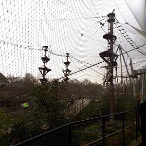 Monkey valley 11.2.25