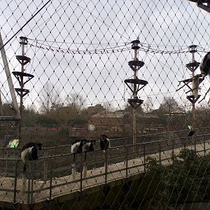 Monley valley 11.2.25