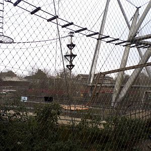 Monkey valley 11.2.25