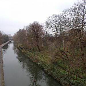 View of nature area 11.2.25