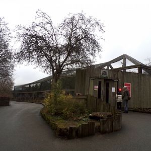 View of lemur walkthrough 11.2.25