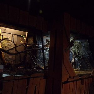 Bokyboky indoor enclosure 11.2.25