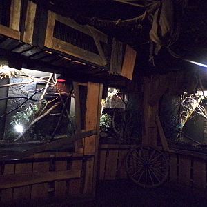 View of ring-tailed lemur and bokyboky indoor enclosures 11.2.25