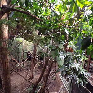 Amazon mixed enclosure 11.2.25