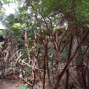 Amazon mixed enclosure 11.2.25