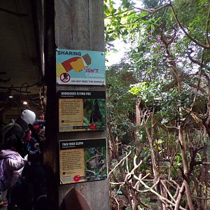 View of main area and overhead branches for sloths 11.2.25