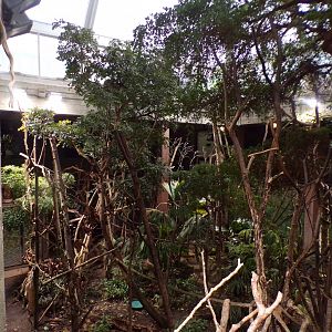 Amazon mixed enclosure 11.2.25